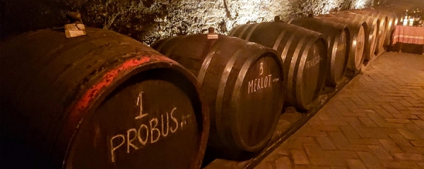 Wineries - Wine Cellars Serbia
