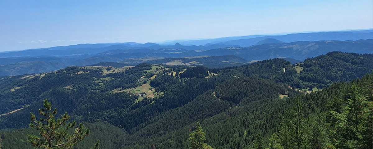 Zlatibor Paragliding Serbia