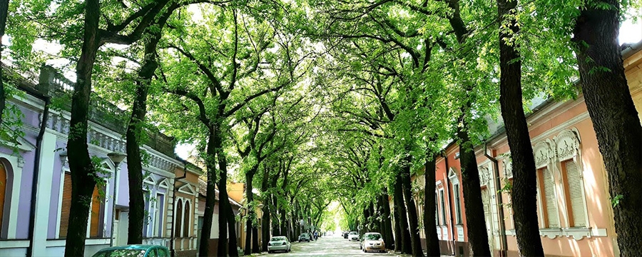 Serbia Tailor Made Tours