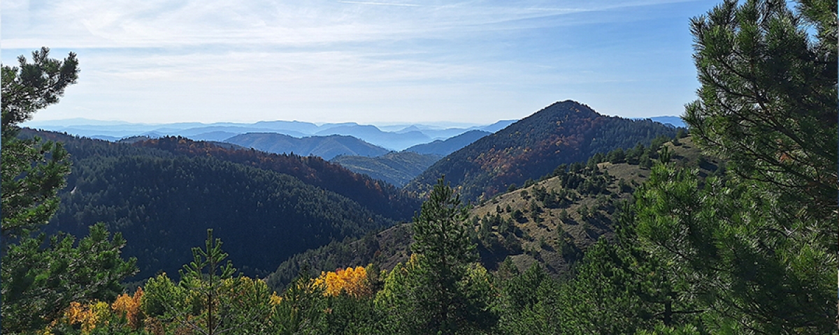 Mokra Gora hiking tour Serbia
