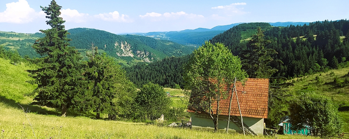 Zlatar Serbia Hiking Tour