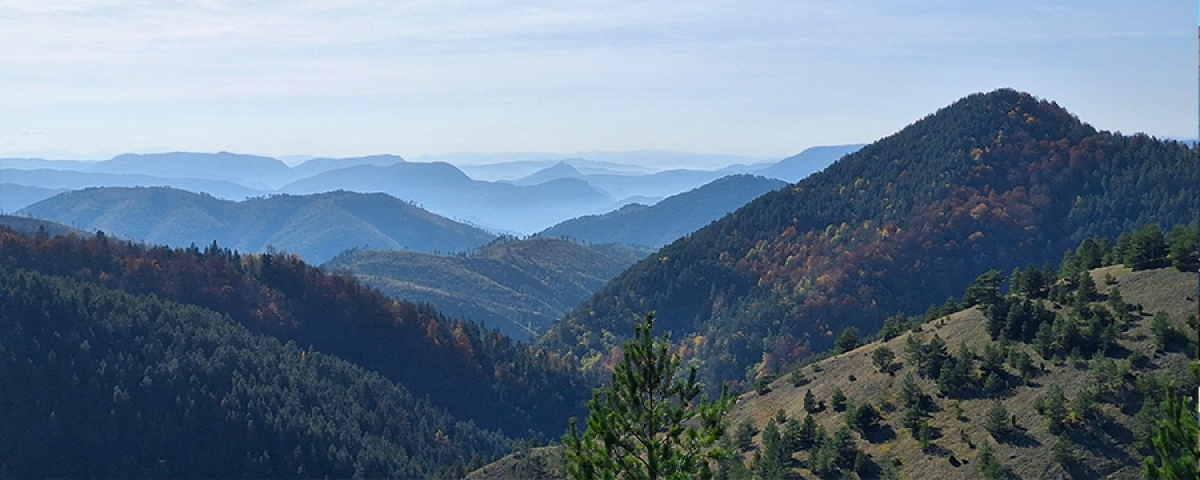 Mokra Gora Off Road driving adventure