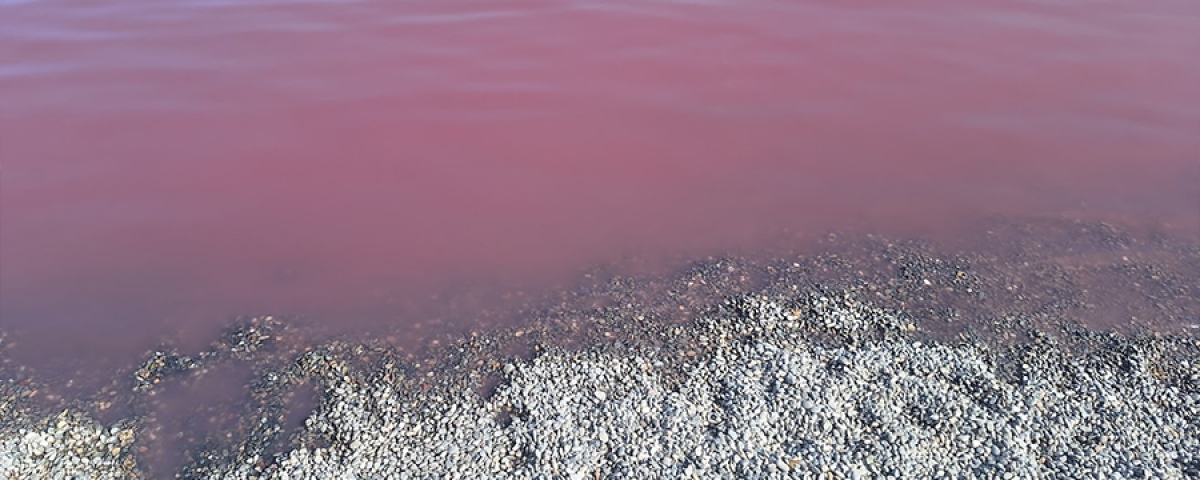 Pačir - salty pink lake with thermal water