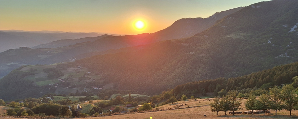 Drina - Hiking Serbia